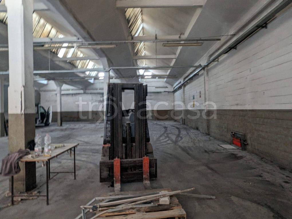 immagine annuncio 4 di 11