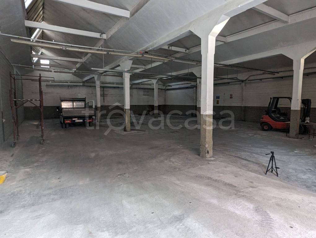 immagine annuncio 7 di 11