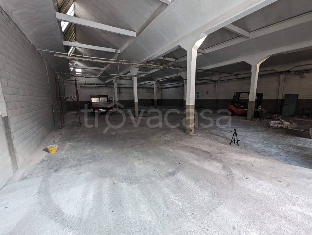 immagine annuncio 8 di 11