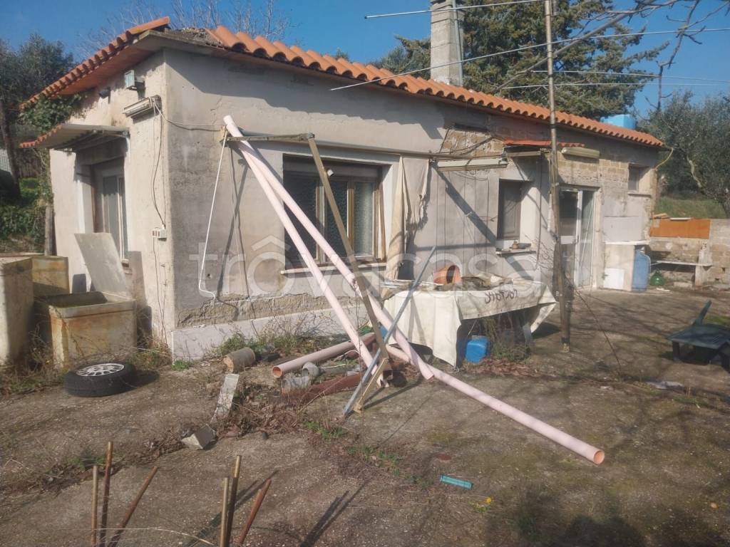 immagine annuncio 3 di 4