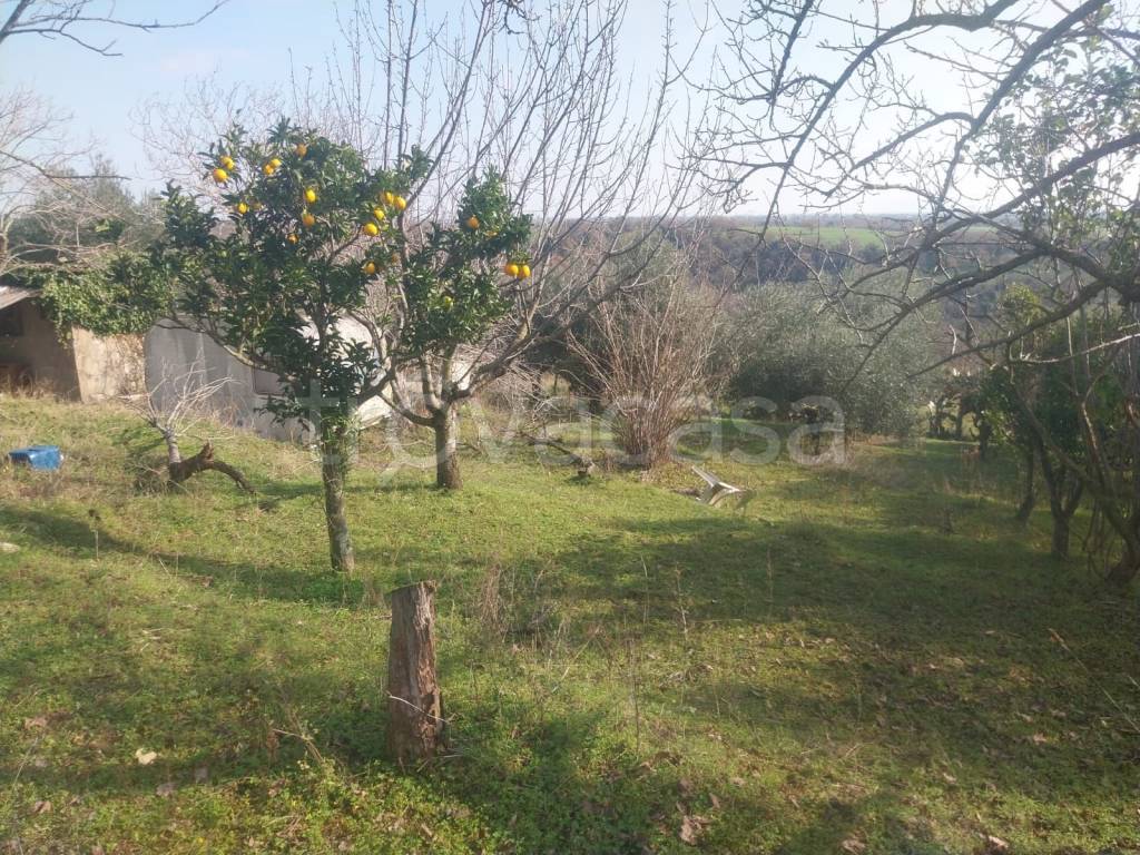 immagine annuncio 2 di 4