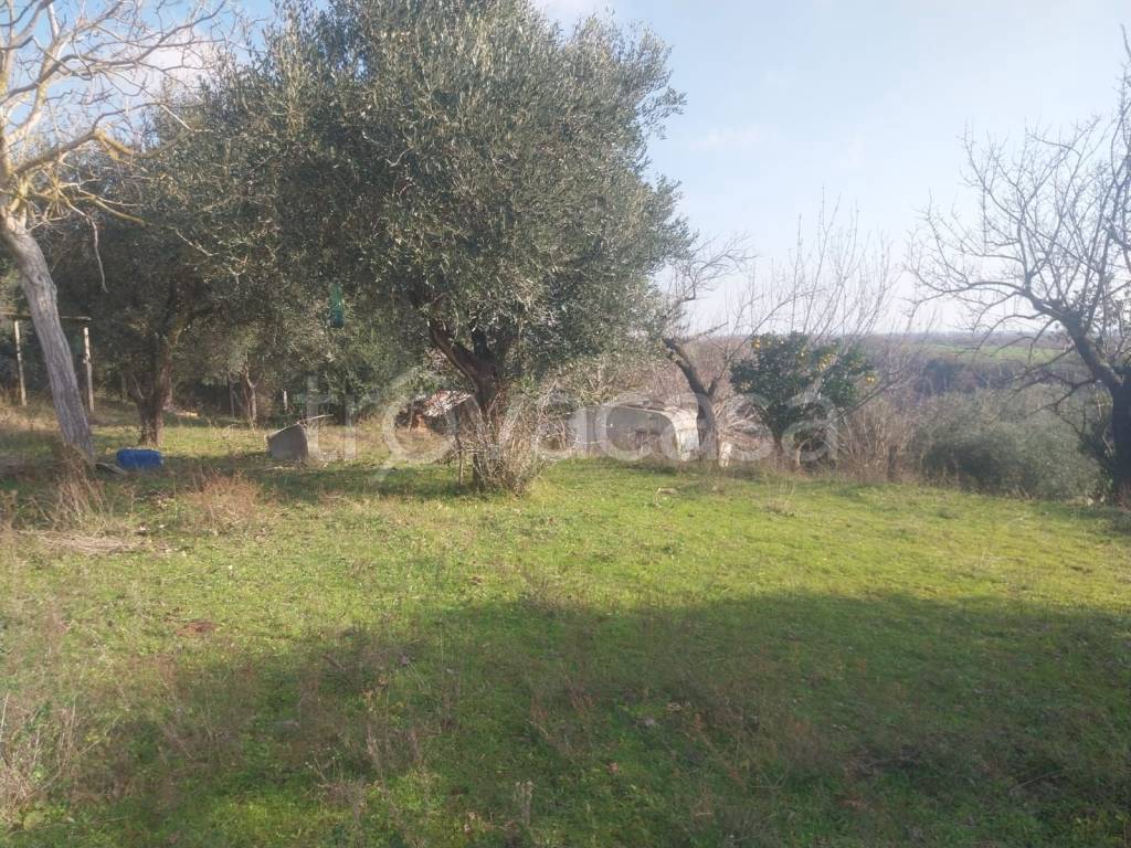 immagine annuncio 1 di 4