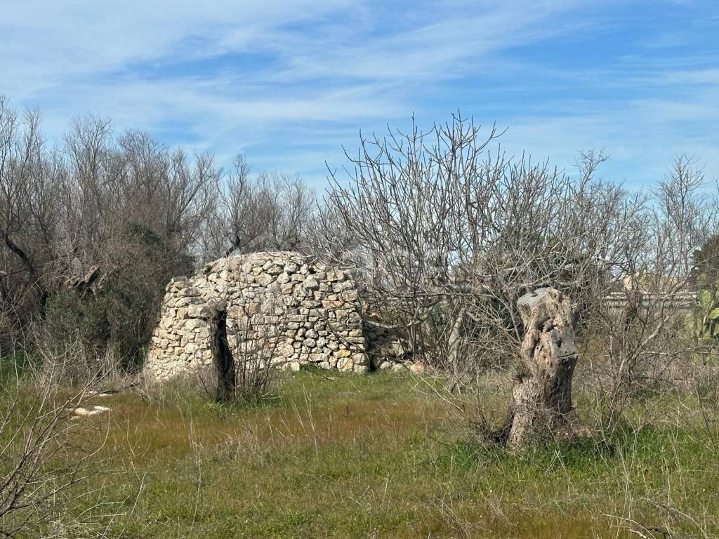 immagine annuncio 6 di 13