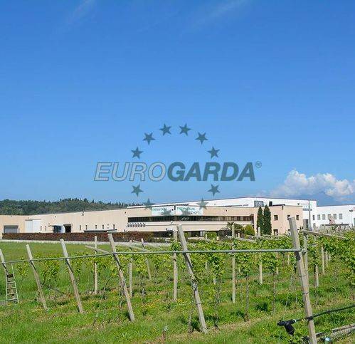 immagine annuncio 10 di 14