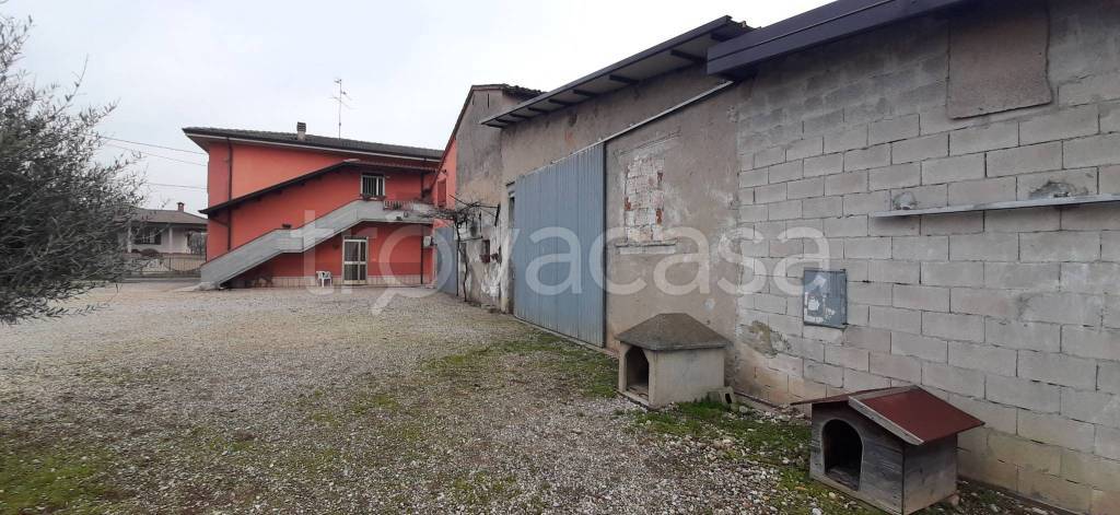 immagine annuncio 5 di 15