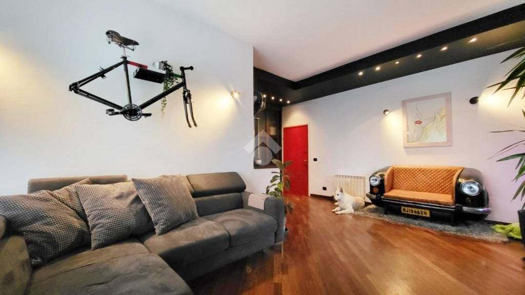 immagine annuncio 9 di 15