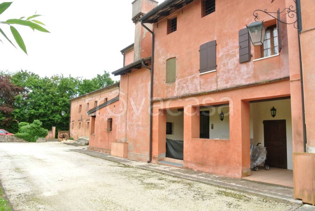 immagine annuncio 3 di 13