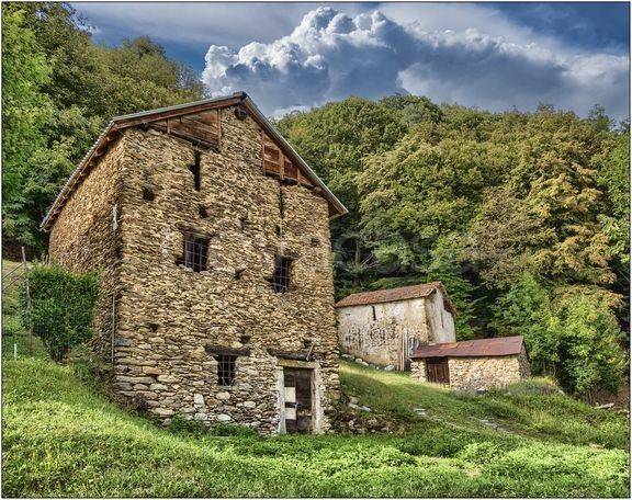 immagine annuncio 2 di 14