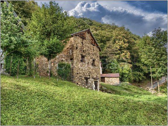 immagine annuncio 12 di 14