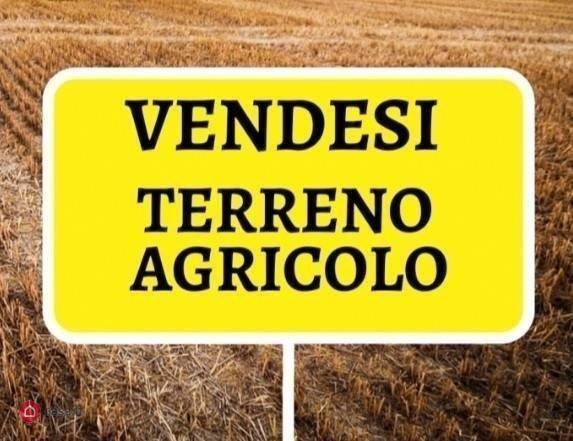 Terreno Agricolo in vendita a Guastalla via Luigi Gonzaga, 4A