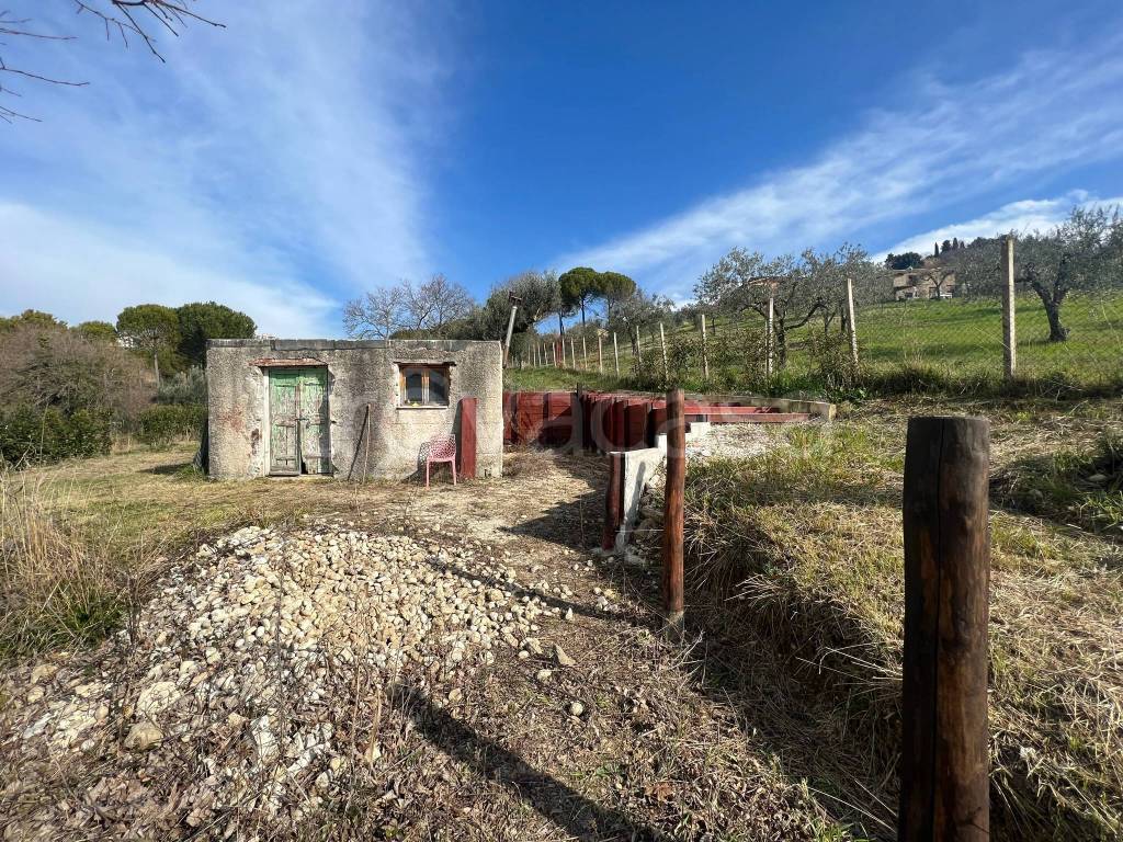immagine annuncio 2 di 12