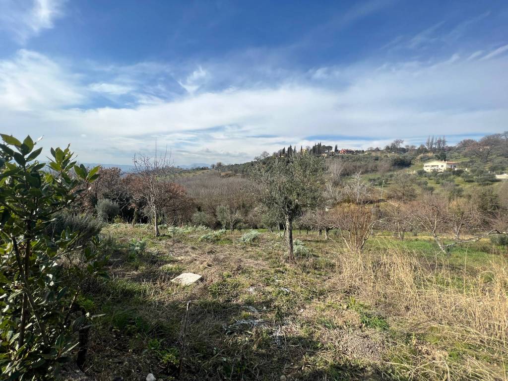 immagine annuncio 5 di 12
