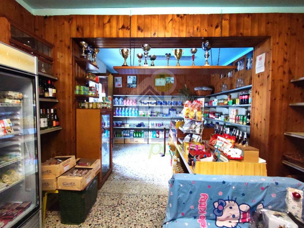 immagine annuncio 12 di 14