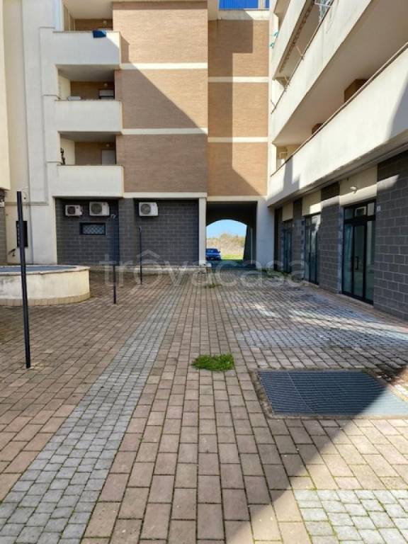 immagine annuncio 3 di 7