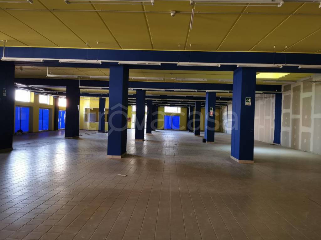 immagine annuncio 5 di 11