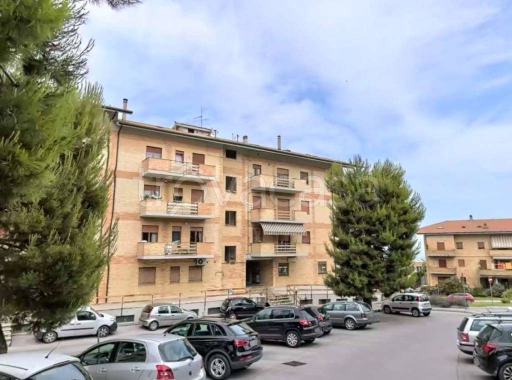 immagine annuncio 1 di 2