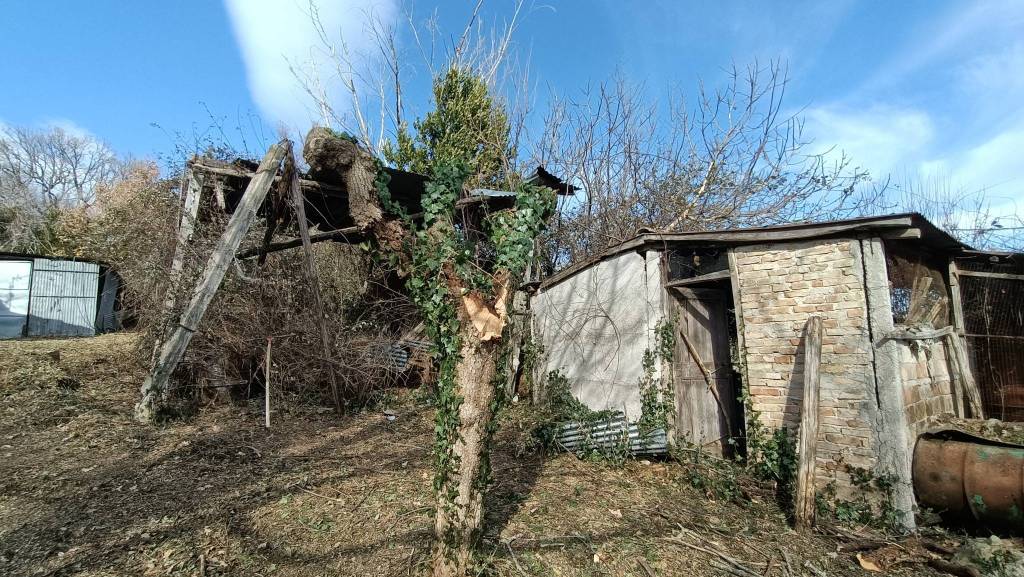 immagine annuncio 8 di 13