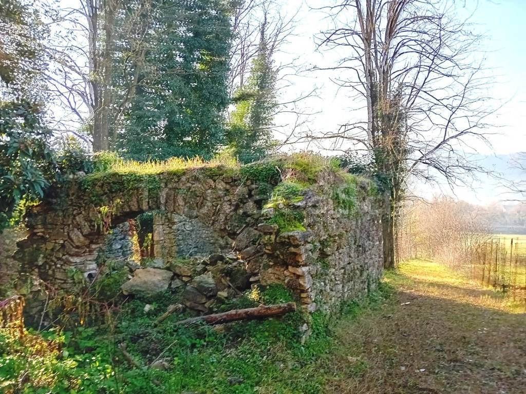 immagine annuncio 4 di 9