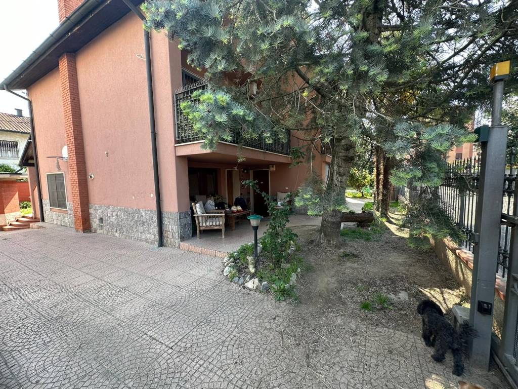 immagine annuncio 7 di 15