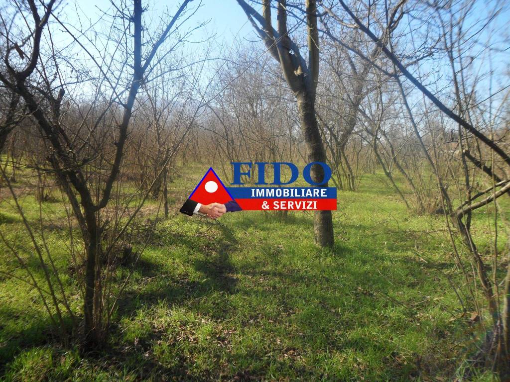 immagine annuncio 4 di 9