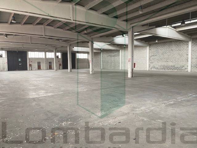 immagine annuncio 4 di 9