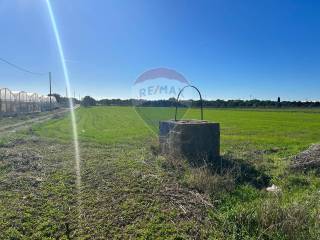 Terreno agricolo in vendita a noto burgio