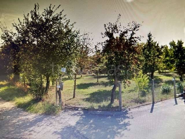immagine annuncio 3 di 6