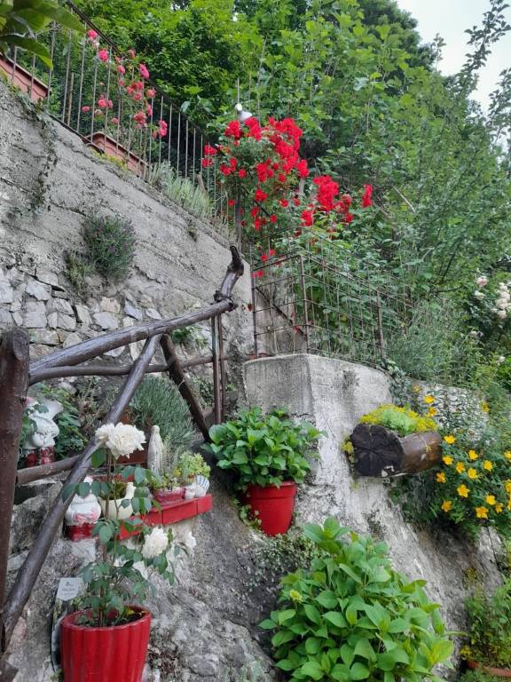 immagine annuncio 4 di 7