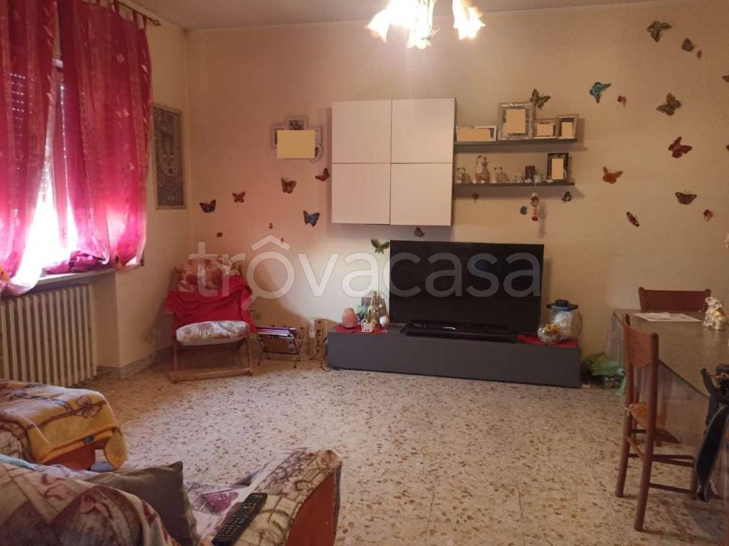 immagine annuncio 10 di 12