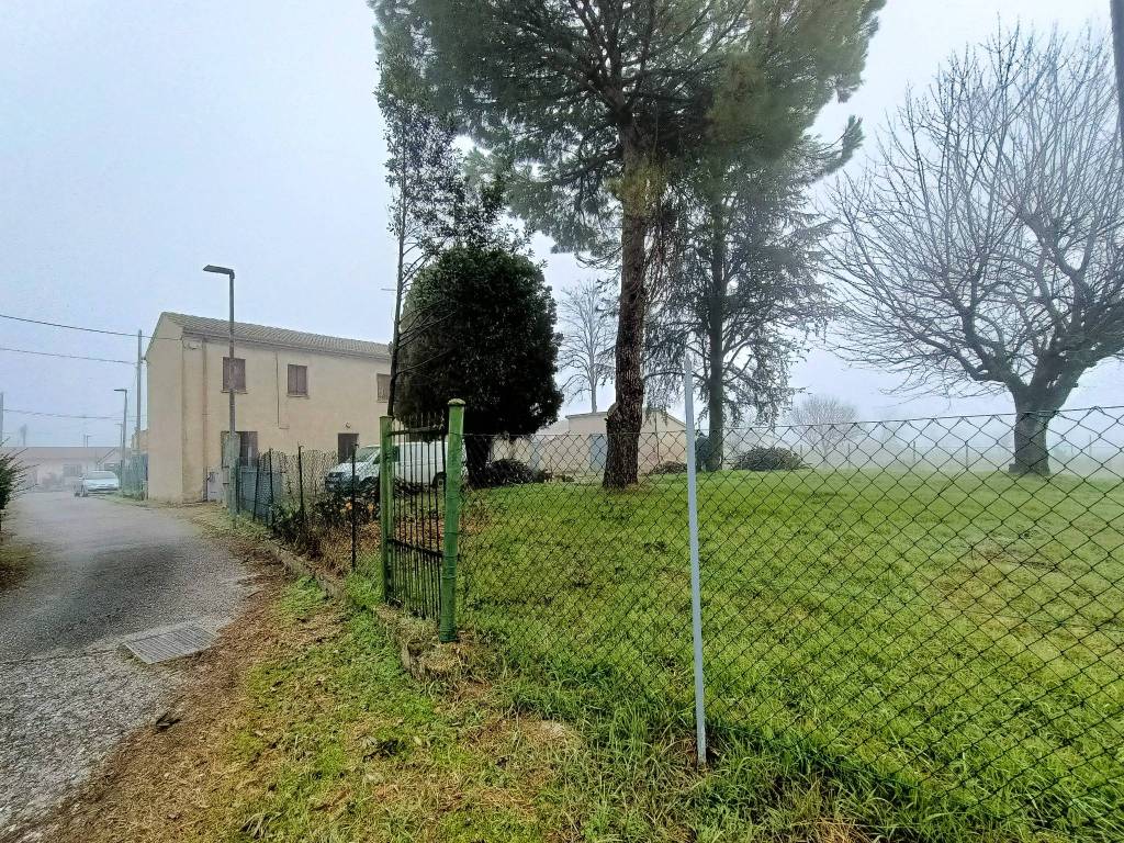 immagine annuncio 3 di 13