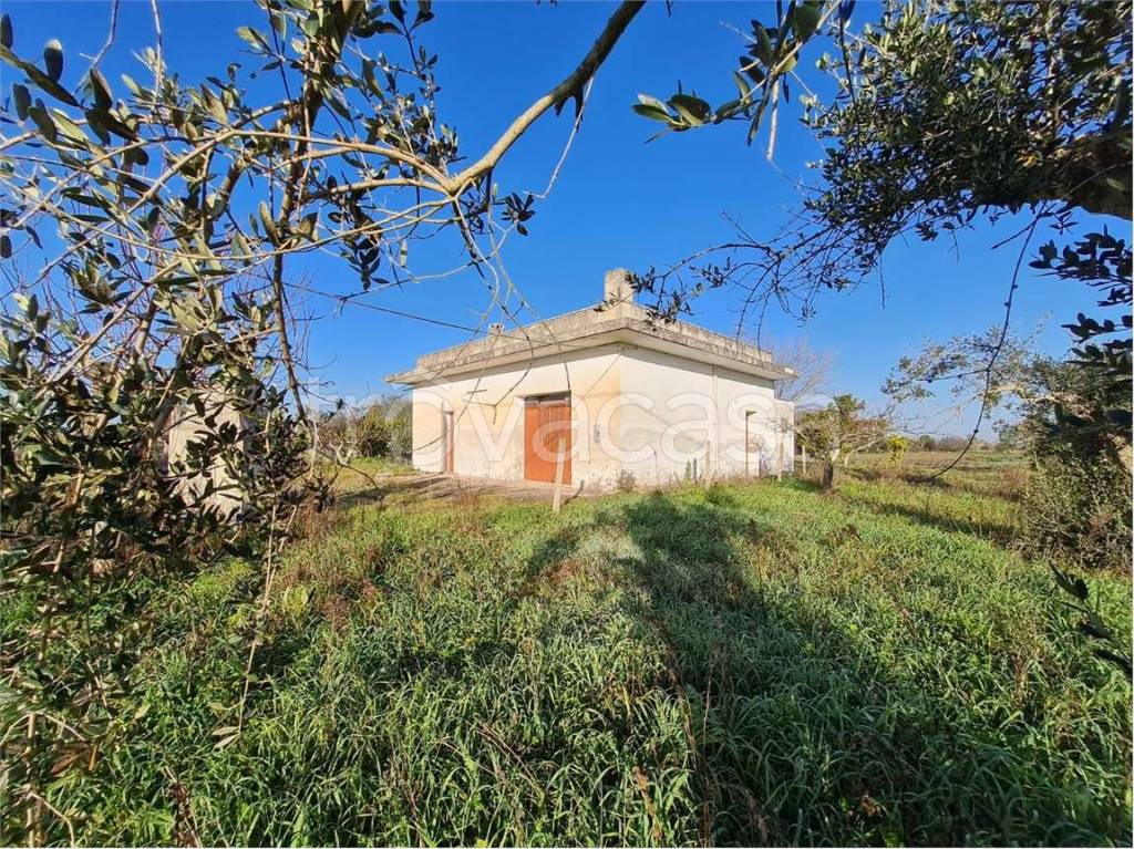 immagine annuncio 11 di 14