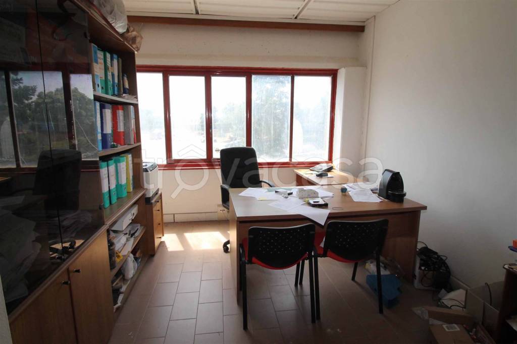 immagine annuncio 7 di 8