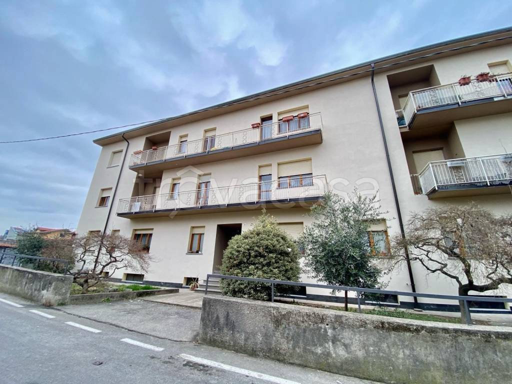 immagine annuncio 1 di 6