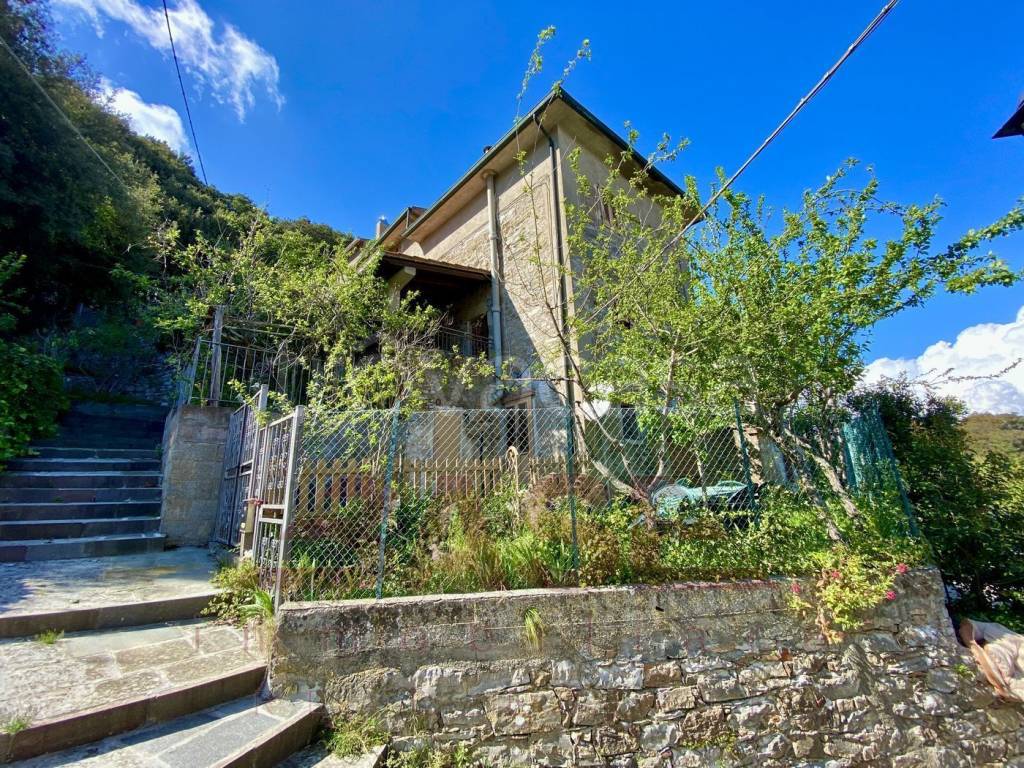 Villa a Schiera in vendita a Sassetta via di Castagneto