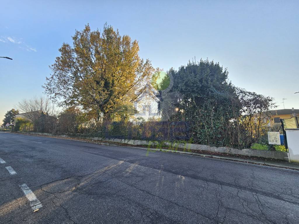 immagine annuncio 5 di 11