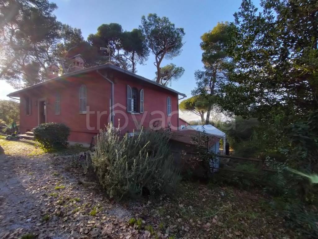 Villa in affitto a Grottaferrata via Anagnina, 5
