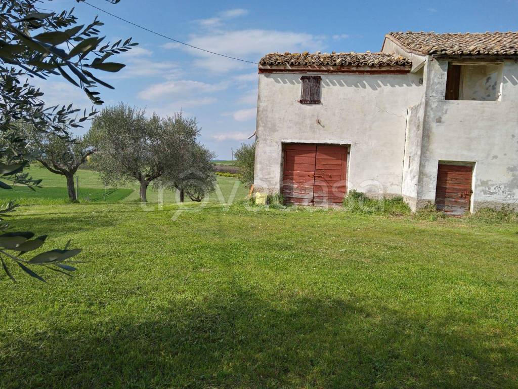 immagine annuncio 3 di 13