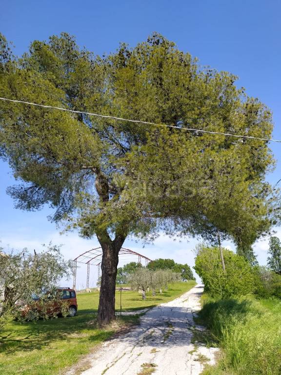 immagine annuncio 4 di 13