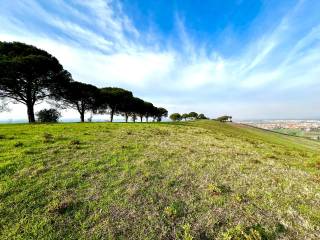 Terreno agricolo in vendita a monterotondo via della fornaci