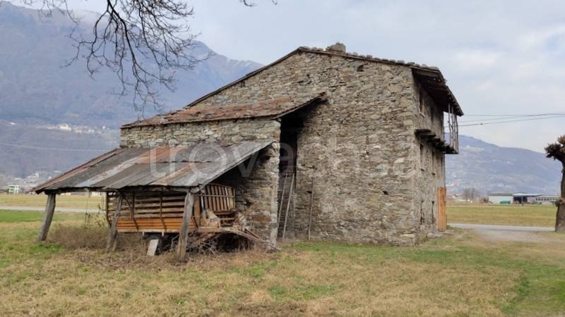 immagine annuncio 4 di 8