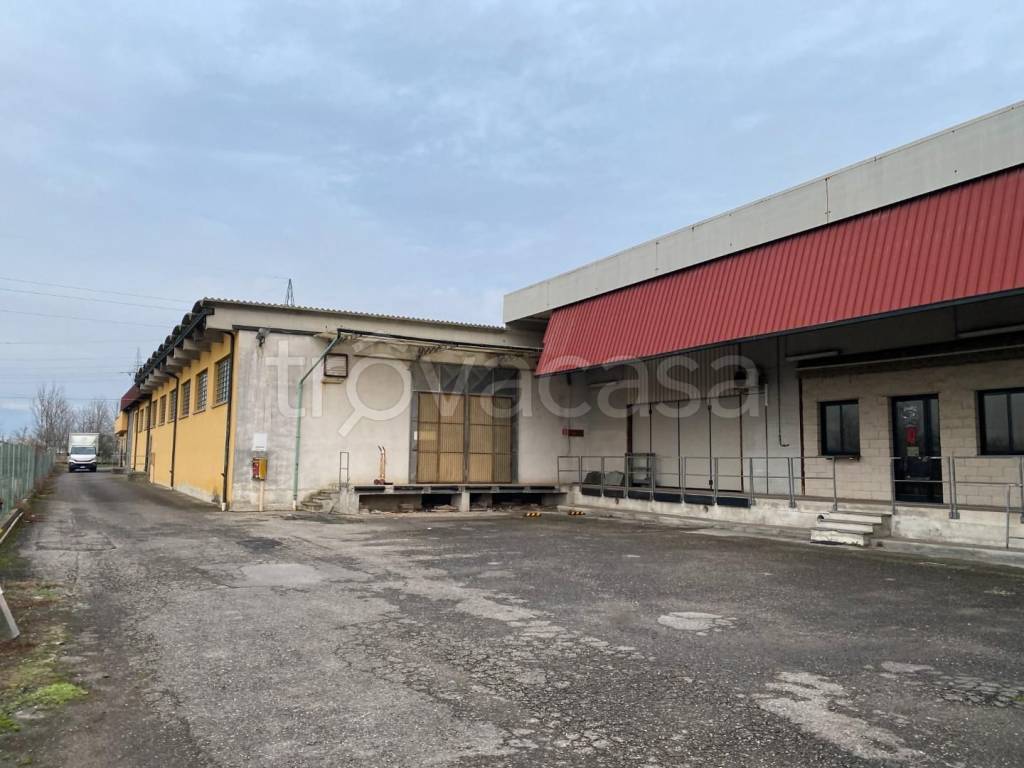 immagine annuncio 6 di 13