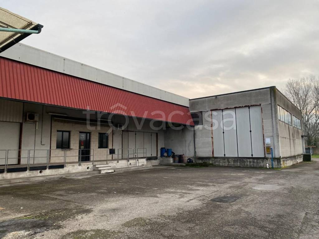 immagine annuncio 7 di 13