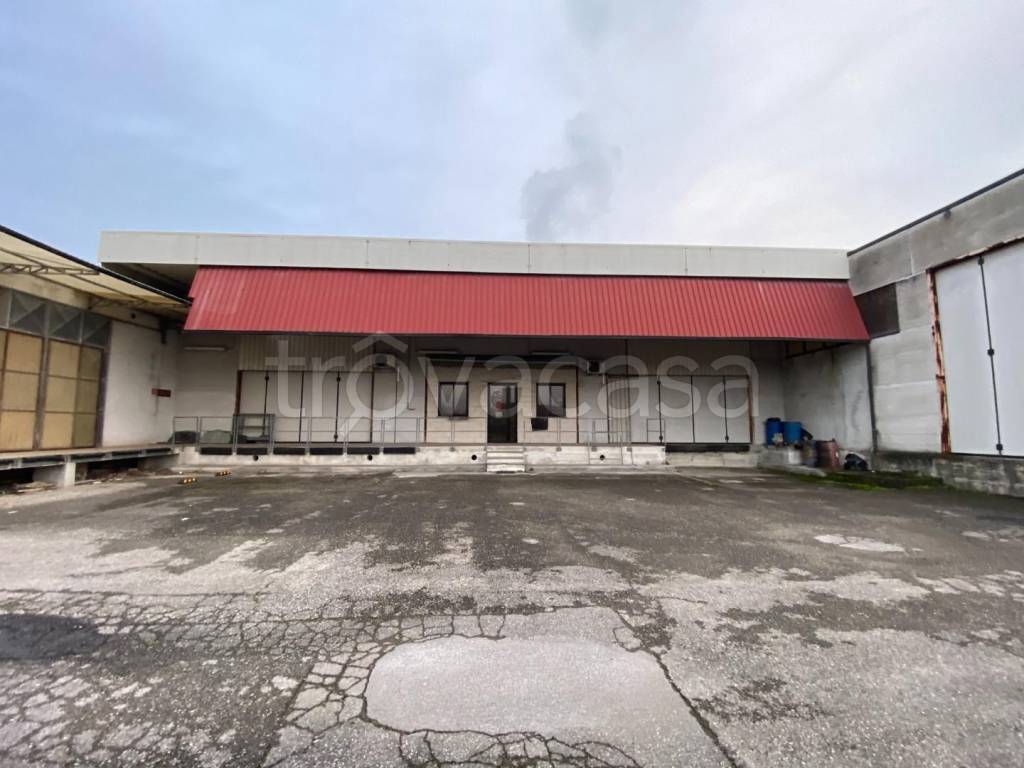 immagine annuncio 8 di 13