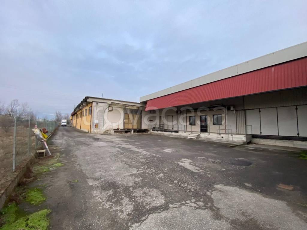 immagine annuncio 9 di 13