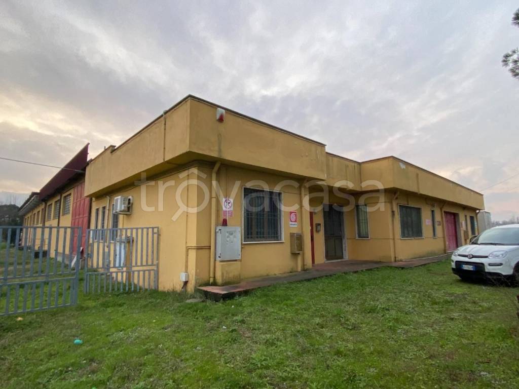 immagine annuncio 12 di 13