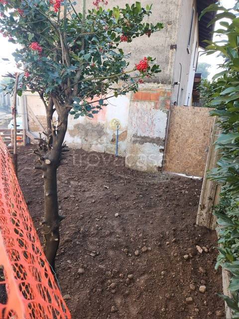 immagine annuncio 11 di 14