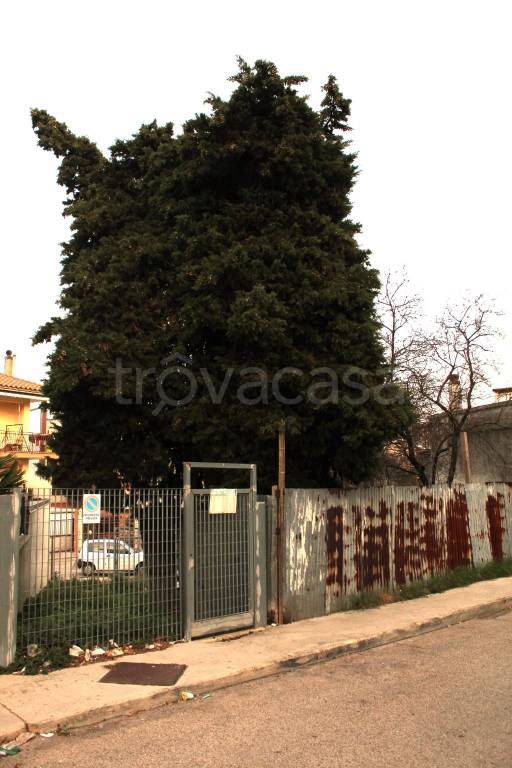 immagine annuncio 3 di 4