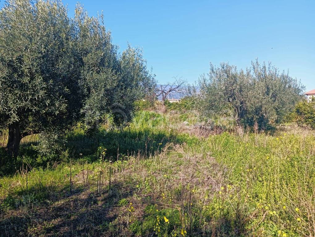 immagine annuncio 2 di 7