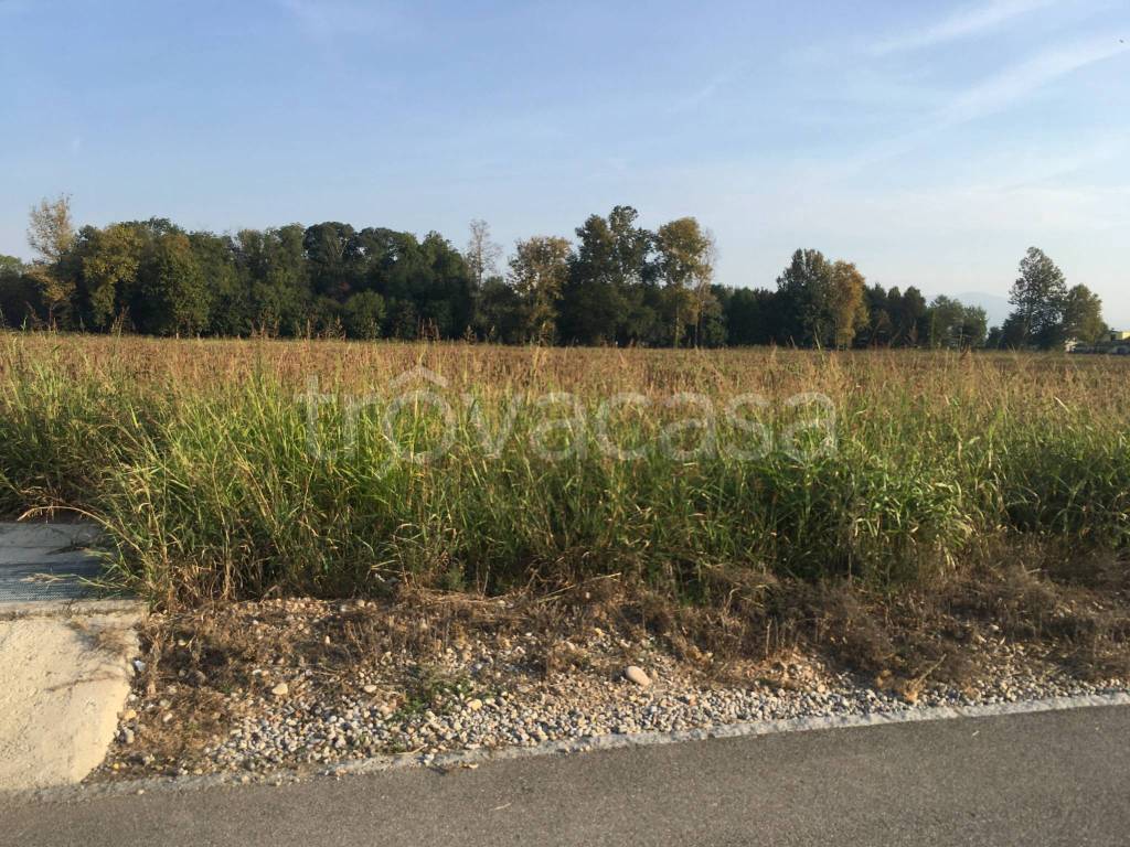 immagine annuncio 3 di 4