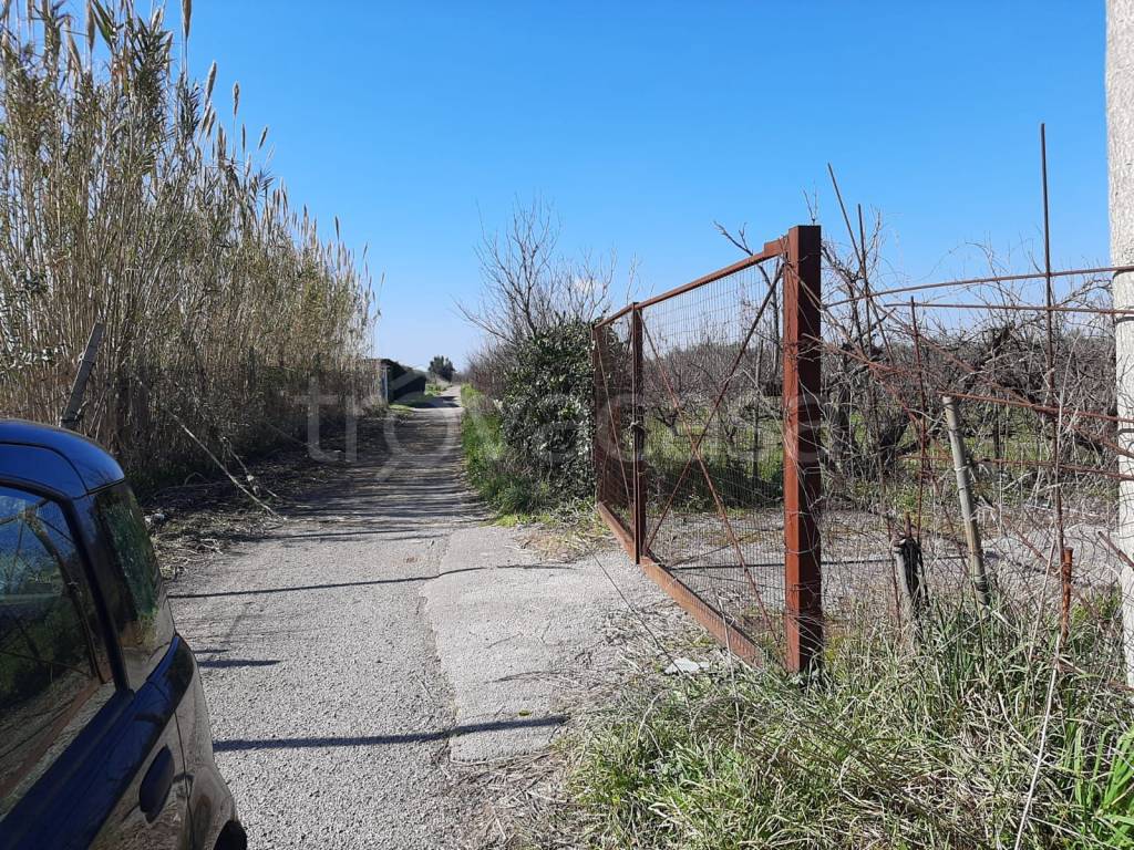 Terreno Agricolo in vendita a Giugliano in Campania via Casacelle